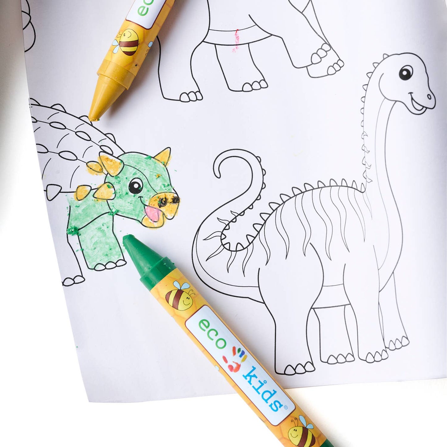 eco-kids - dinosaur coloring scroll - case