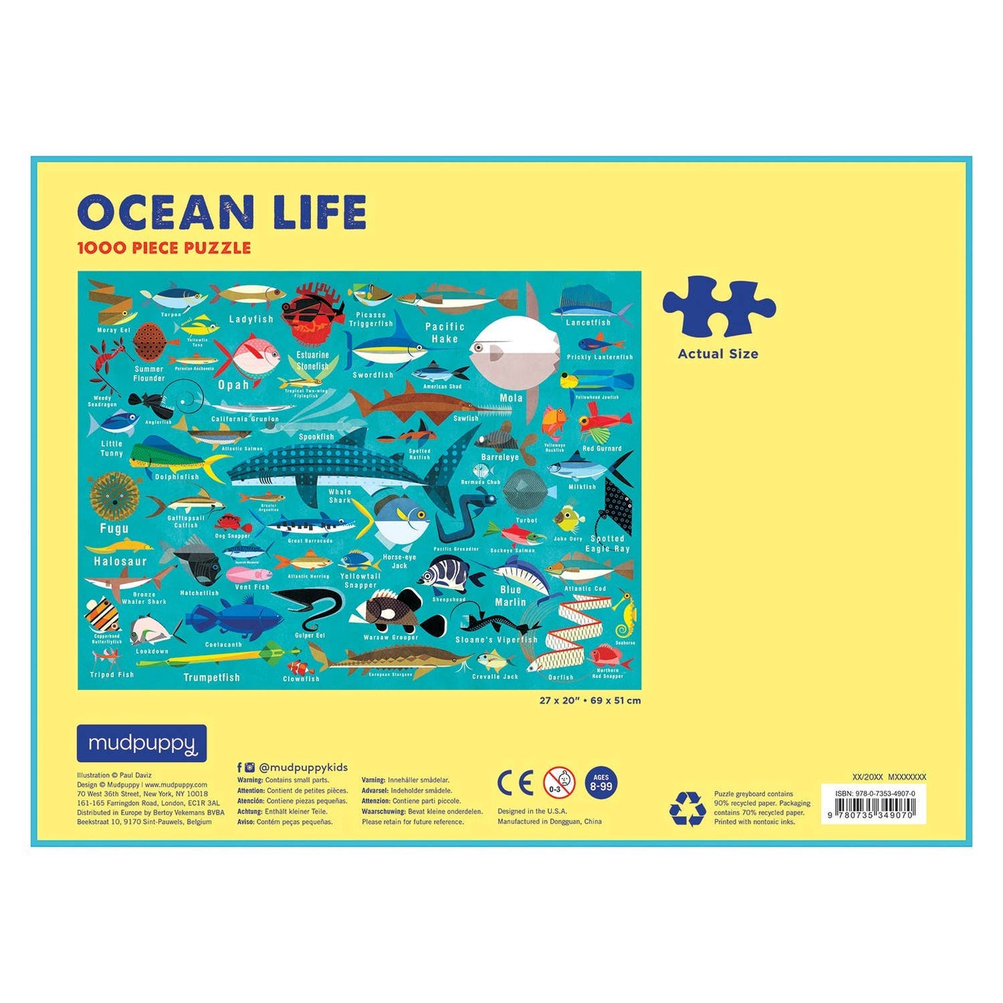 Chronicle Books - Ocean Life 1000 Piece Family Puzzle