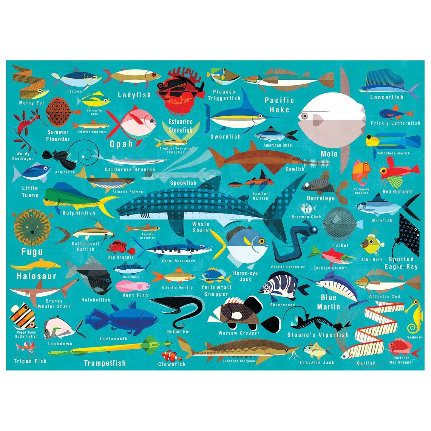 Chronicle Books - Ocean Life 1000 Piece Family Puzzle