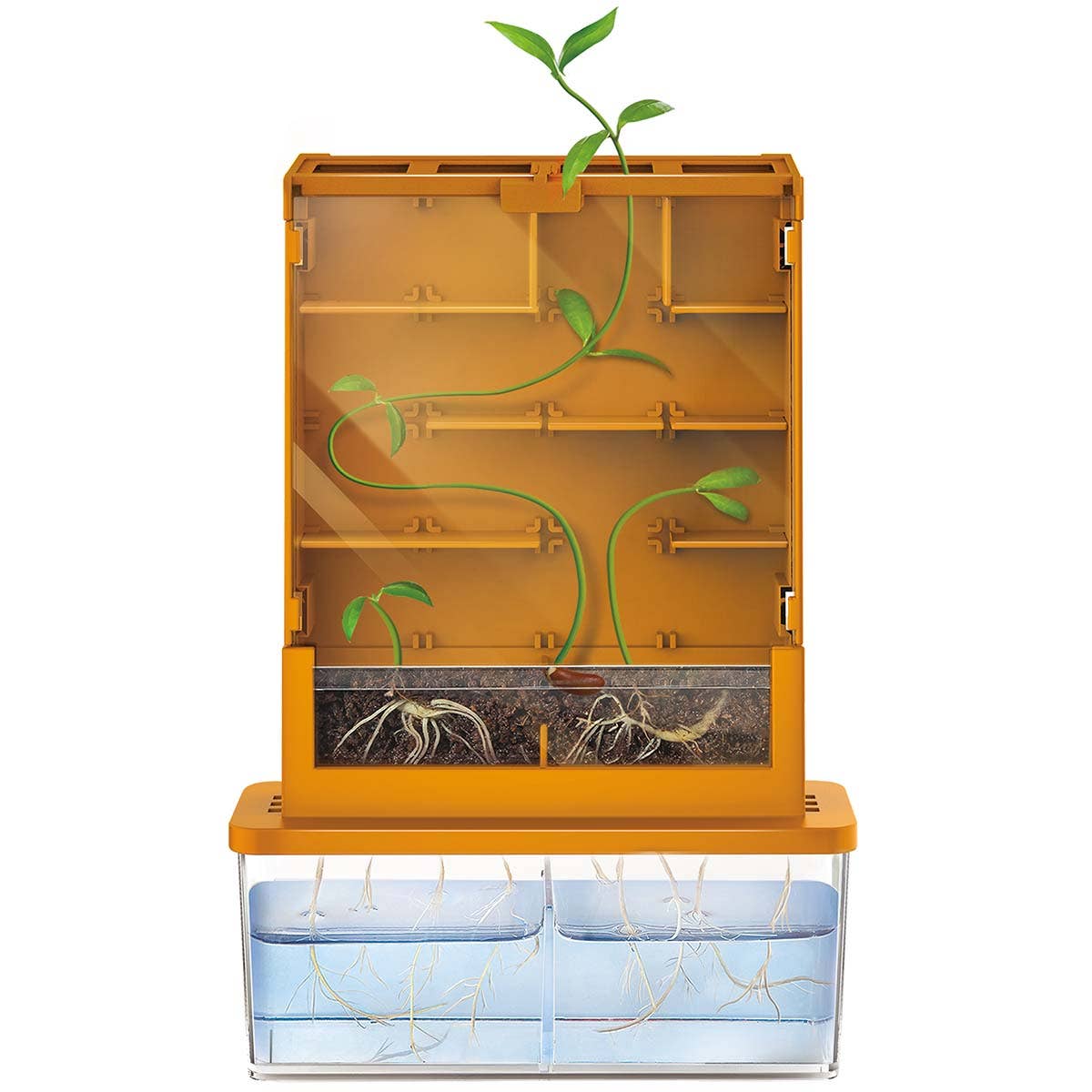 Toysmith - 4M Green Science Grow A Maze Science Kit-DIY