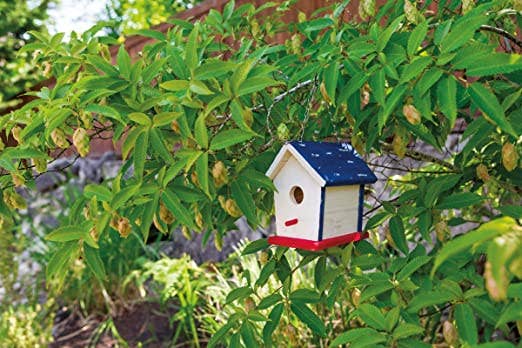 Toysmith - Beetle & Bee Paint A Bird Base, Backyard Birdhouse Kit