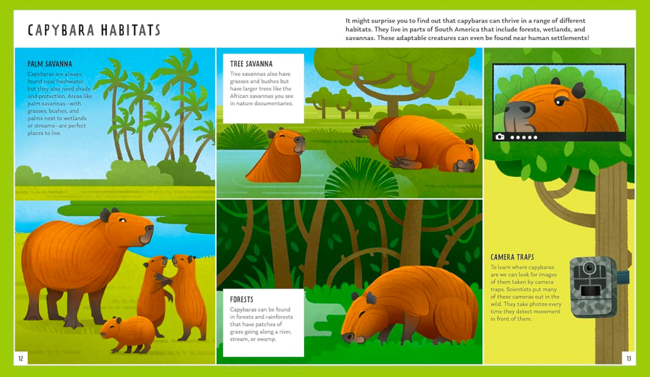 Young Zoologist - Capybara: A First Field Guide to the Biggest Rodent in the World