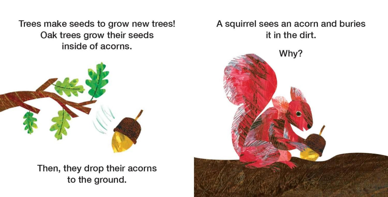 How Does a Seed Sprout?: Life Cycles with the Very Hungry Caterpillar