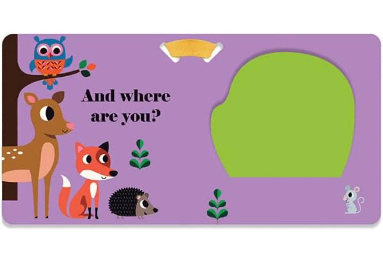 Where's the Owl? - A Stroller Book