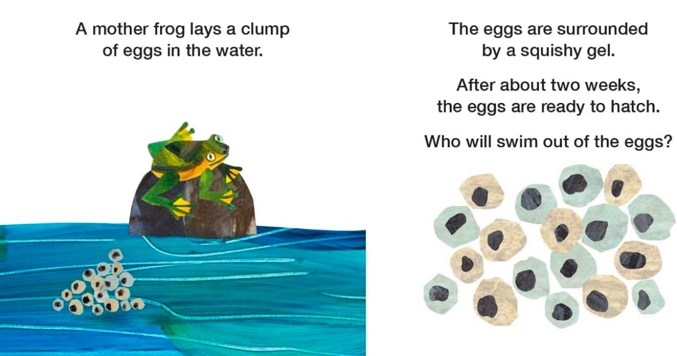 How Does a Tadpole Grow?: Life Cycles with the Very Hungry Caterpillar