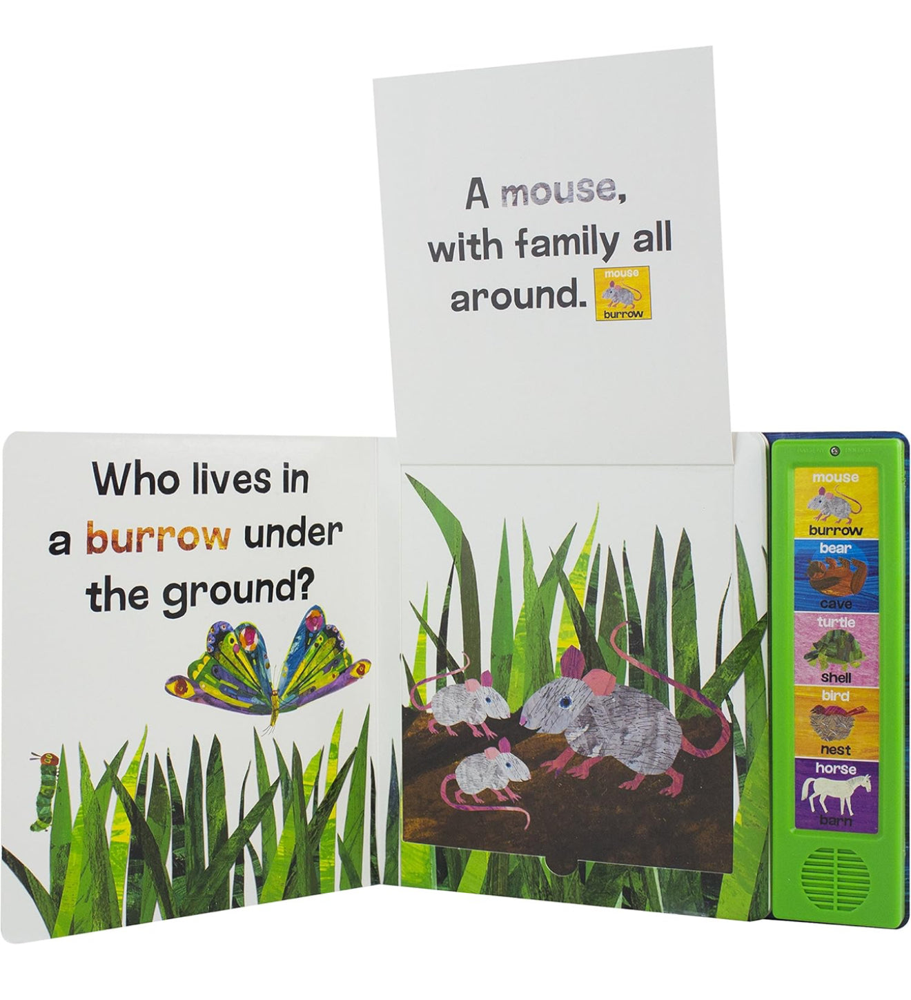 World of Eric Carle: Where Do You Live? Lift-A-Flap Sound Book