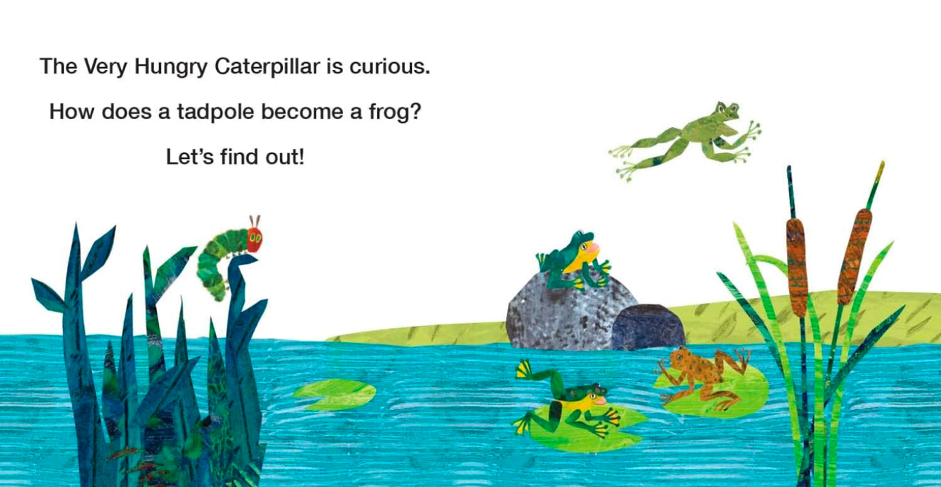 How Does a Tadpole Grow?: Life Cycles with the Very Hungry Caterpillar