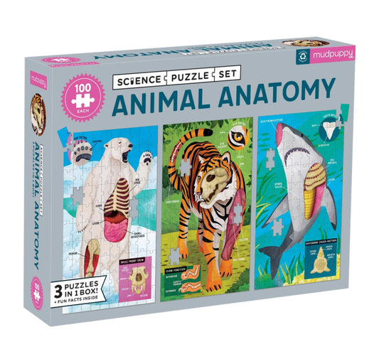 Animal Anatomy Science - 3 Puzzle Sets