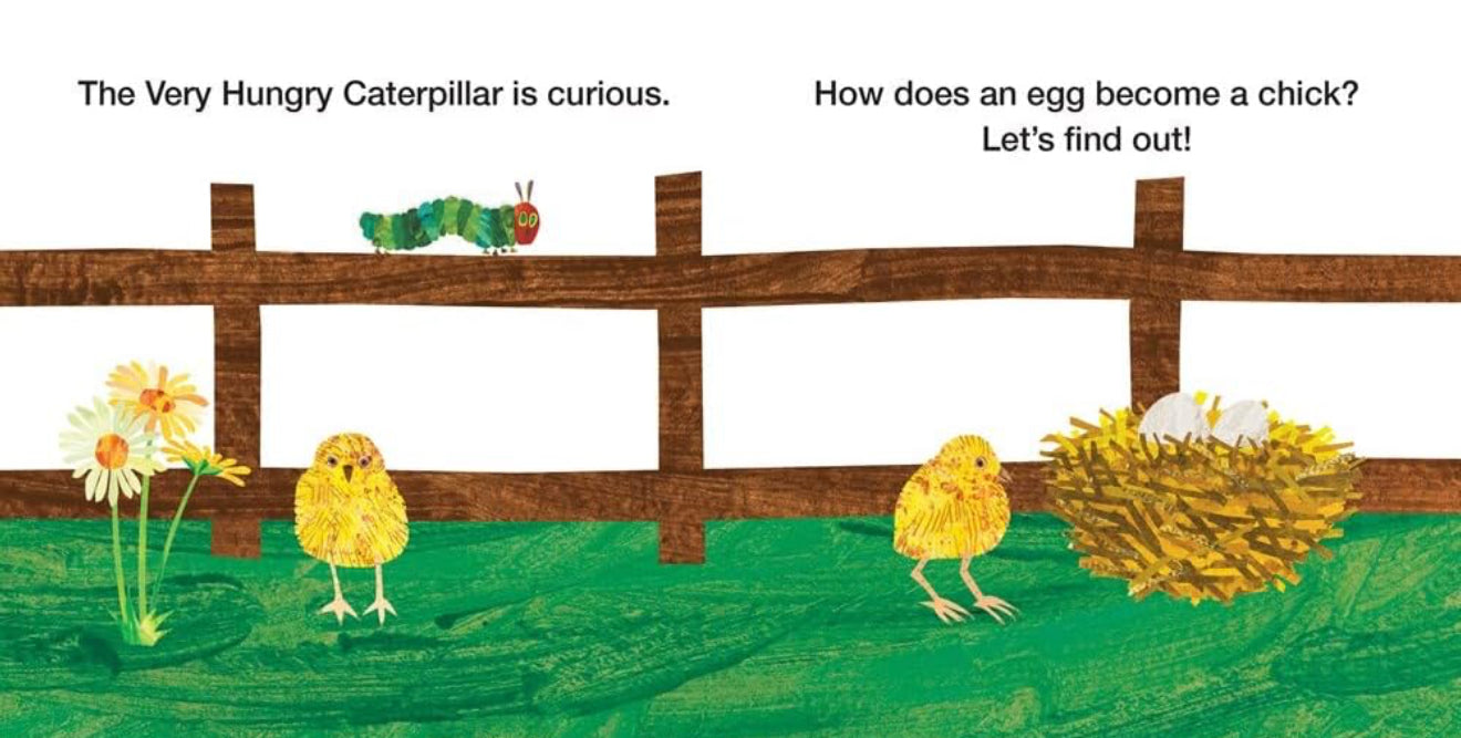 How Does an Egg Hatch?: Life Cycles with the Very Hungry Caterpillar