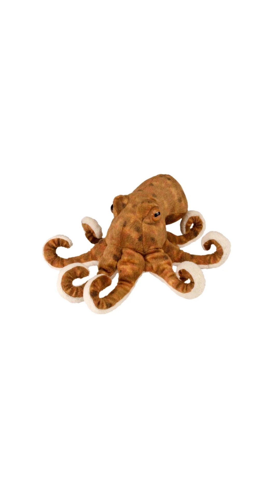 Wild Republic - Stuffed Animal 8" - Mini Octopus