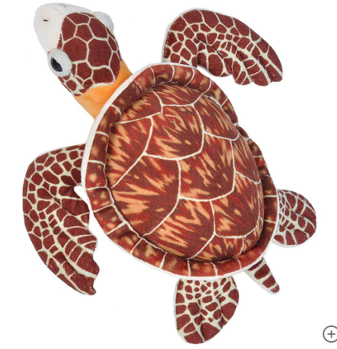 Mini Hawksbill Sea Turtle