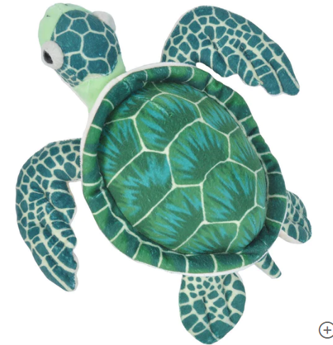 Mini Green Sea Turtle