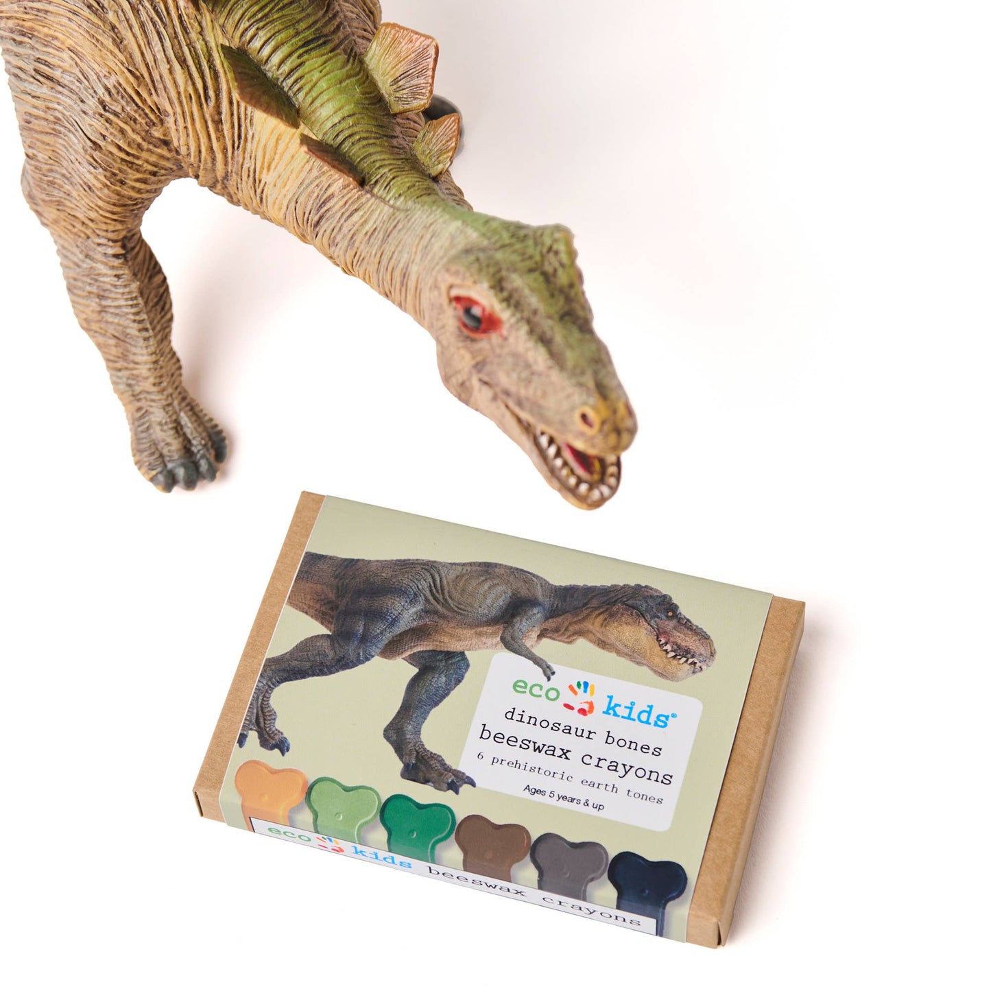 eco-kids - beeswax crayons - dinosaur bone - case