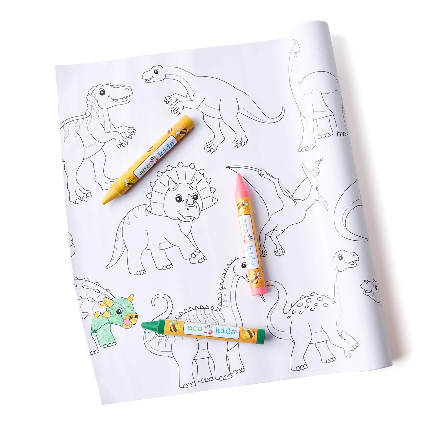 eco-kids - dinosaur coloring scroll - case