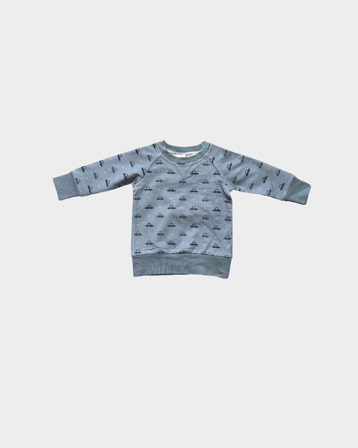 babysprouts clothing company - F23 D2: Kid's Raglan Sweatshirt in Retro Cars