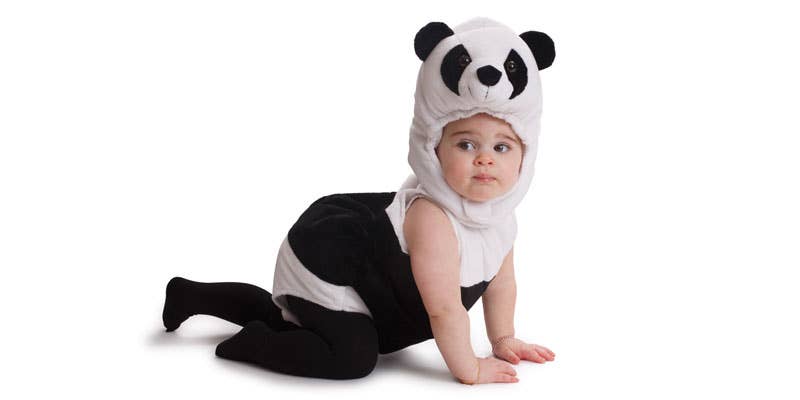 Dress Up America - Cuddly Baby Panda Bear Costume