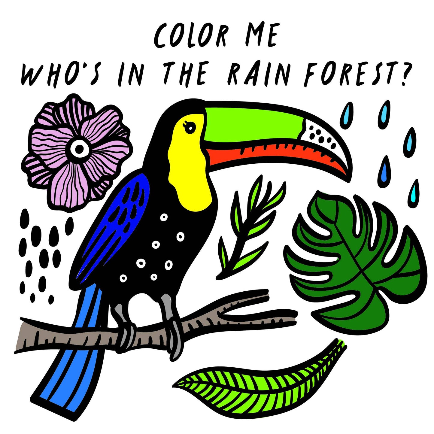 QUARTO - Color Me: Who's in the Rain Forest?